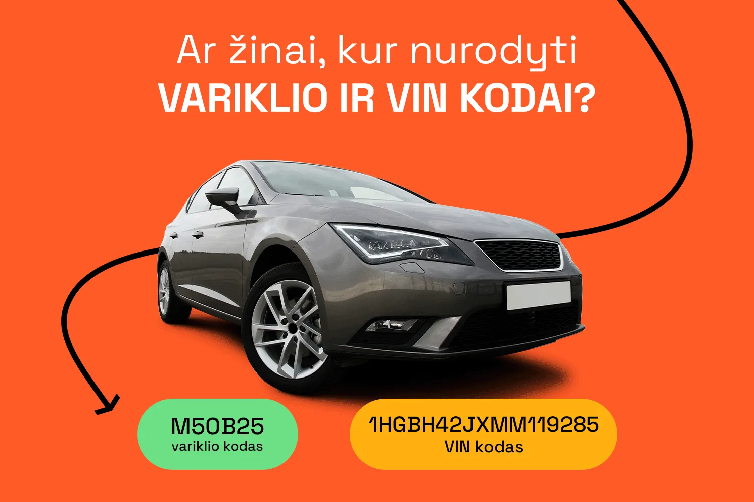 Kur ieškoti automobilio variklio ir VIN kodo?